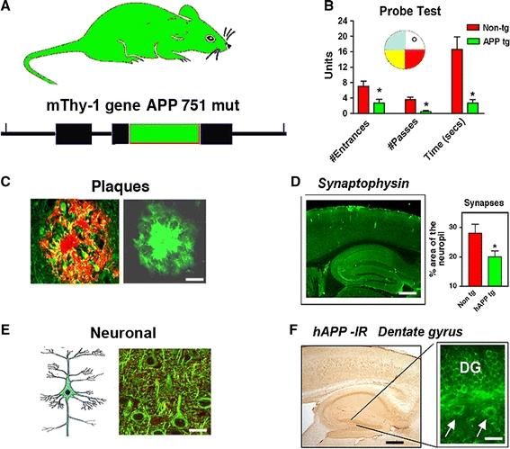 https://cdn.ncbi.nlm.nih.gov/pmc/blobs/04cd/2847155/0905ac986234/429_2009_232_Fig4_HTML.jpg