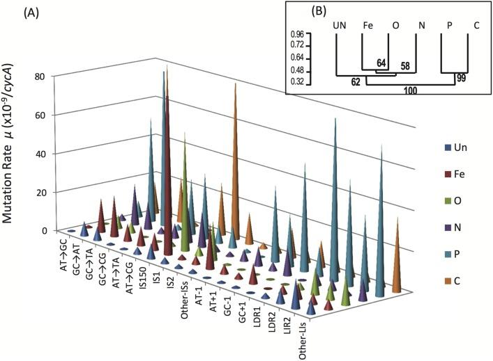 https://cdn.ncbi.nlm.nih.gov/pmc/blobs/04cd/5464527/2434a363a586/pbio.2001477.g005.jpg
