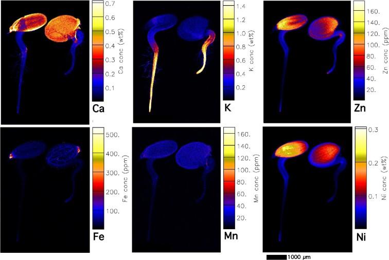 https://cdn.ncbi.nlm.nih.gov/pmc/blobs/04ce/9226517/8f39b671d57d/mfac026fig5.jpg
