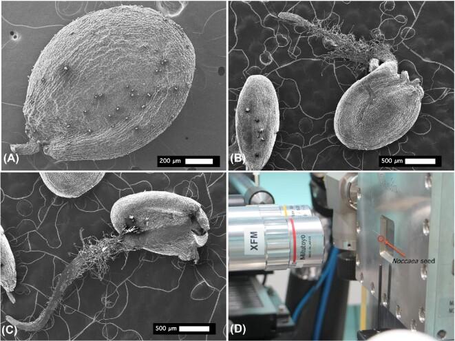 https://cdn.ncbi.nlm.nih.gov/pmc/blobs/04ce/9226517/db8004b549b7/mfac026fig1.jpg