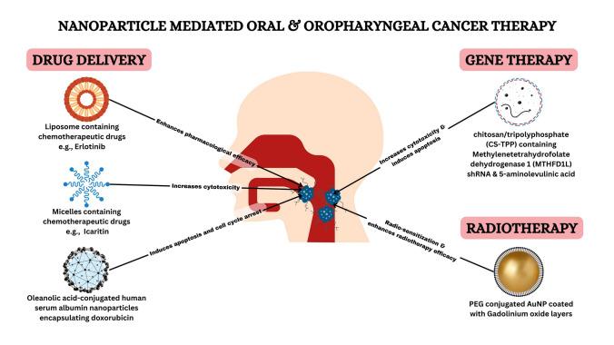 https://cdn.ncbi.nlm.nih.gov/pmc/blobs/04d1/12397472/a207fe57ffef/12672_2025_2439_Fig4_HTML.jpg
