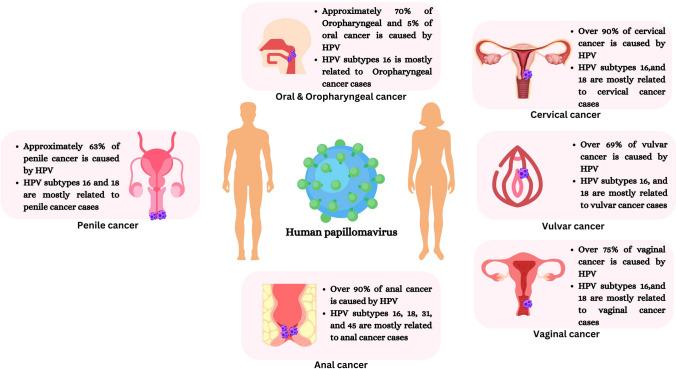 https://cdn.ncbi.nlm.nih.gov/pmc/blobs/04d1/12397472/a584a74d53cc/12672_2025_2439_Fig1_HTML.jpg