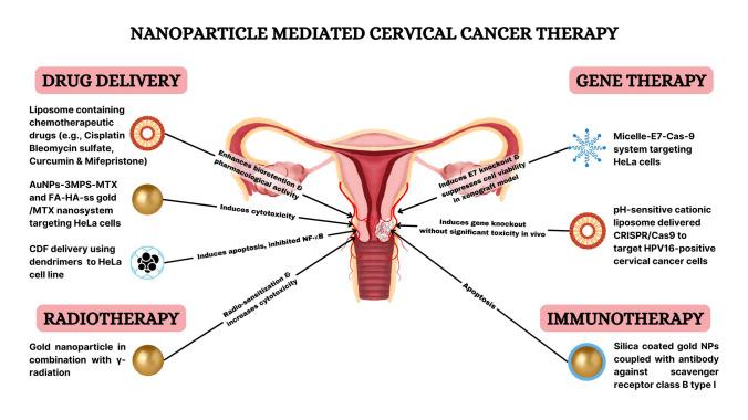 https://cdn.ncbi.nlm.nih.gov/pmc/blobs/04d1/12397472/b86f9172529f/12672_2025_2439_Fig3_HTML.jpg