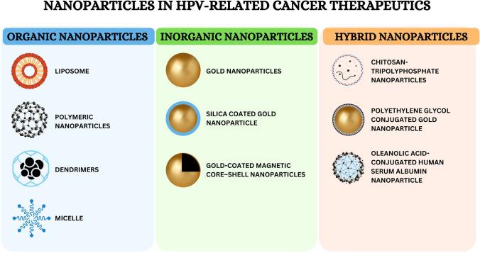 https://cdn.ncbi.nlm.nih.gov/pmc/blobs/04d1/12397472/c7e58afec520/12672_2025_2439_Fig2_HTML.jpg