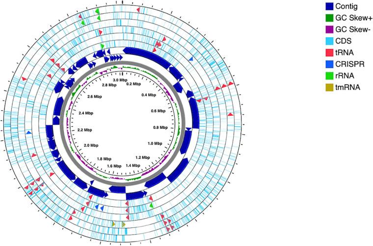 https://cdn.ncbi.nlm.nih.gov/pmc/blobs/04d1/8060452/497dd6b3d7ff/fmicb-12-639697-g002.jpg
