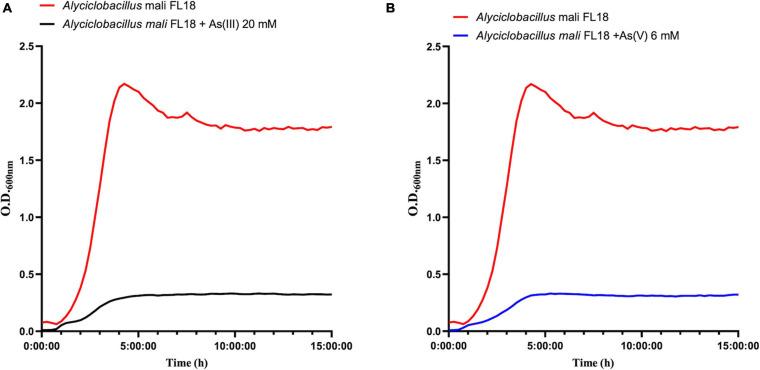 https://cdn.ncbi.nlm.nih.gov/pmc/blobs/04d1/8060452/5781dc1c2c48/fmicb-12-639697-g008.jpg
