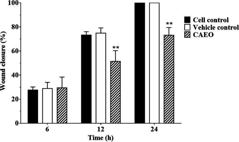 https://cdn.ncbi.nlm.nih.gov/pmc/blobs/04d2/10759438/4f0ae6c8f7ed/12906_2023_4261_Fig8_HTML.jpg