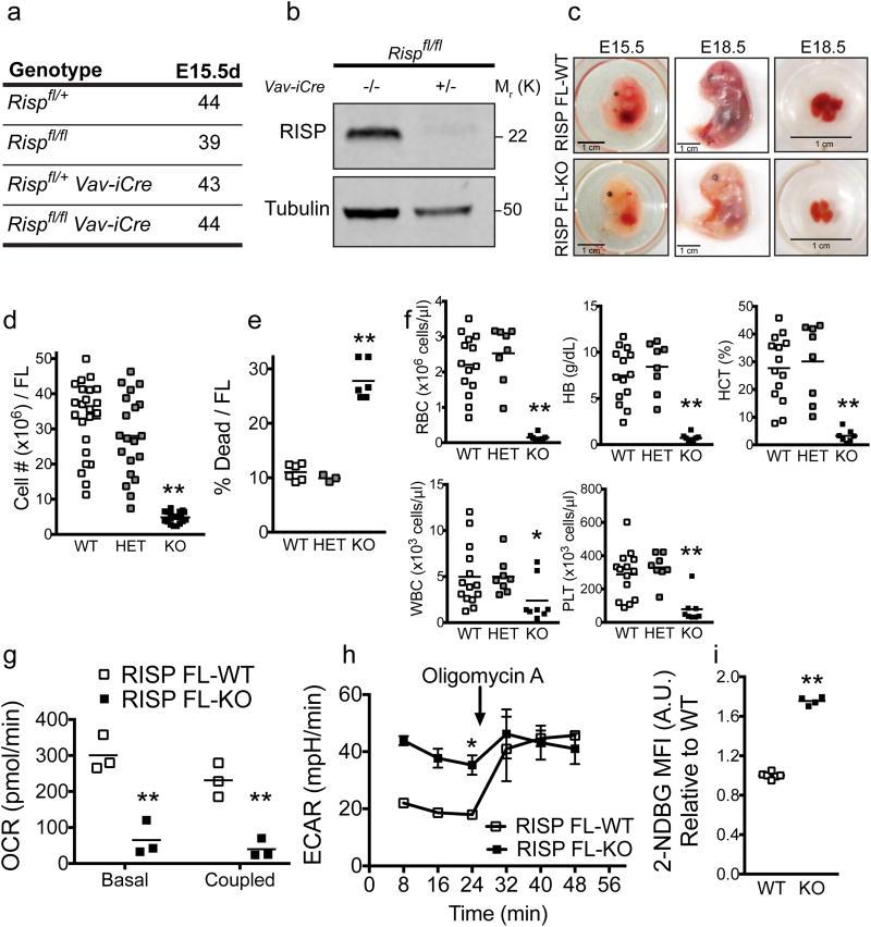 https://cdn.ncbi.nlm.nih.gov/pmc/blobs/04d2/5474760/f128c8e4a75e/nihms867393f1.jpg