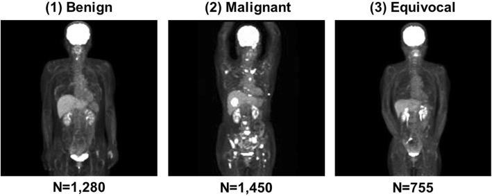 https://cdn.ncbi.nlm.nih.gov/pmc/blobs/04d3/7077155/7488b6d1863f/12885_2020_6694_Fig2_HTML.jpg
