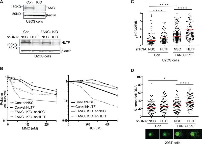 https://cdn.ncbi.nlm.nih.gov/pmc/blobs/04d4/6218949/7ab44c0cc08a/nihms-1508513-f0005.jpg