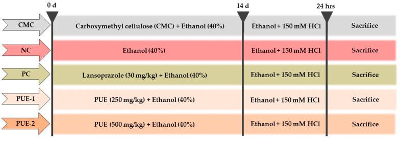 https://cdn.ncbi.nlm.nih.gov/pmc/blobs/04d4/8002011/5f09c065c404/antioxidants-10-00439-g001.jpg