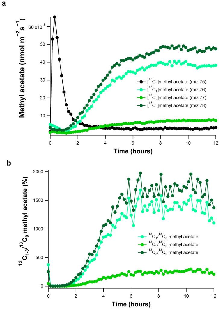 https://cdn.ncbi.nlm.nih.gov/pmc/blobs/04d6/7927132/3b6b7e213dd3/plants-10-00411-g002.jpg