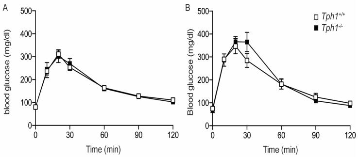 https://cdn.ncbi.nlm.nih.gov/pmc/blobs/04d7/9779327/200fb41ddb13/ijms-23-15816-g003.jpg