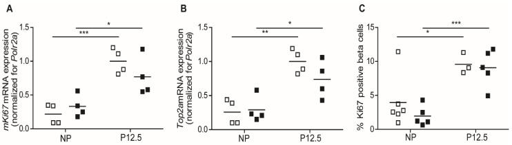 https://cdn.ncbi.nlm.nih.gov/pmc/blobs/04d7/9779327/541a0ab4a78b/ijms-23-15816-g002.jpg