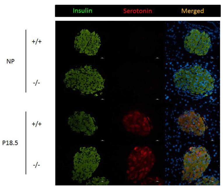 https://cdn.ncbi.nlm.nih.gov/pmc/blobs/04d7/9779327/cce30e6a4cd6/ijms-23-15816-g009.jpg
