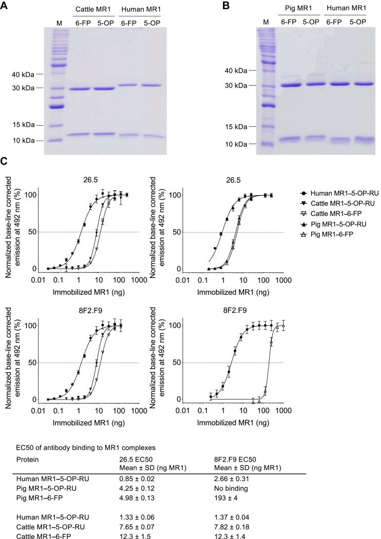 https://cdn.ncbi.nlm.nih.gov/pmc/blobs/04d8/11190491/58baffe076cd/gr1.jpg