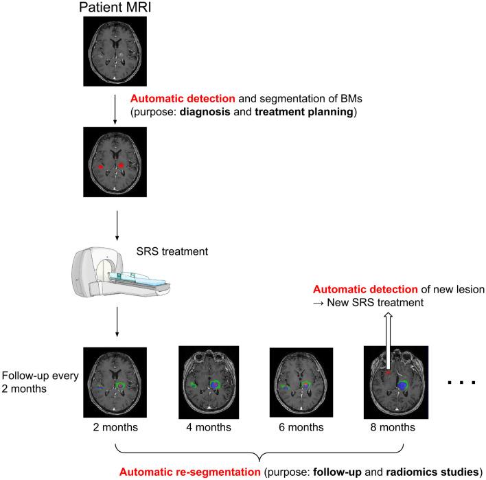 https://cdn.ncbi.nlm.nih.gov/pmc/blobs/04d8/11686181/e2199066aaae/41598_2024_78865_Fig1_HTML.jpg