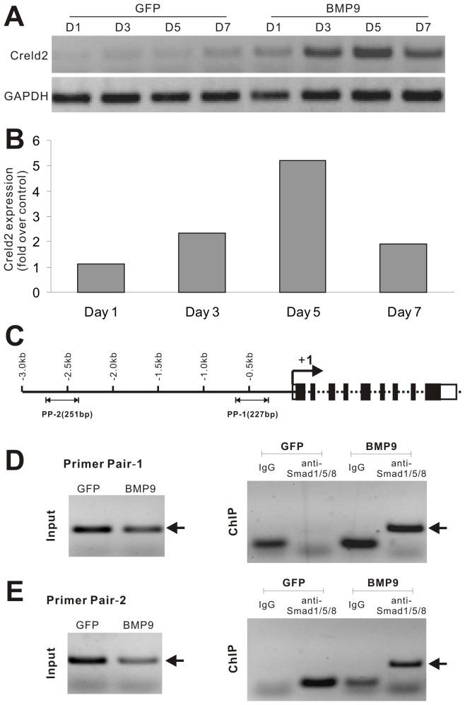 https://cdn.ncbi.nlm.nih.gov/pmc/blobs/04d8/3760886/b4908114f548/pone.0073086.g001.jpg