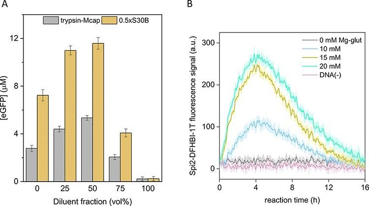 https://cdn.ncbi.nlm.nih.gov/pmc/blobs/04da/9239315/ccf4276f8fc4/ysac008f4.jpg