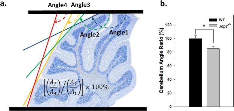 https://cdn.ncbi.nlm.nih.gov/pmc/blobs/04db/8243712/4b682ebc3d45/13287_2021_2424_Fig3_HTML.jpg