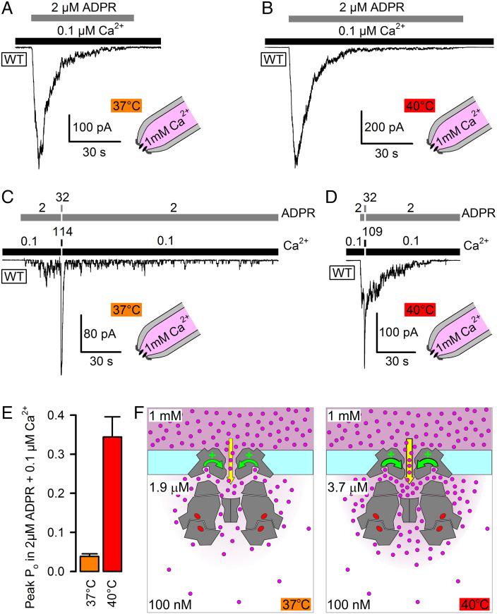 https://cdn.ncbi.nlm.nih.gov/pmc/blobs/04dd/9881722/4e854c0028cf/pnas.2212378119fig05.jpg