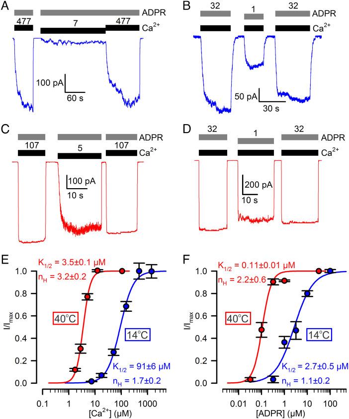 https://cdn.ncbi.nlm.nih.gov/pmc/blobs/04dd/9881722/6f2a7f50614c/pnas.2212378119fig03.jpg