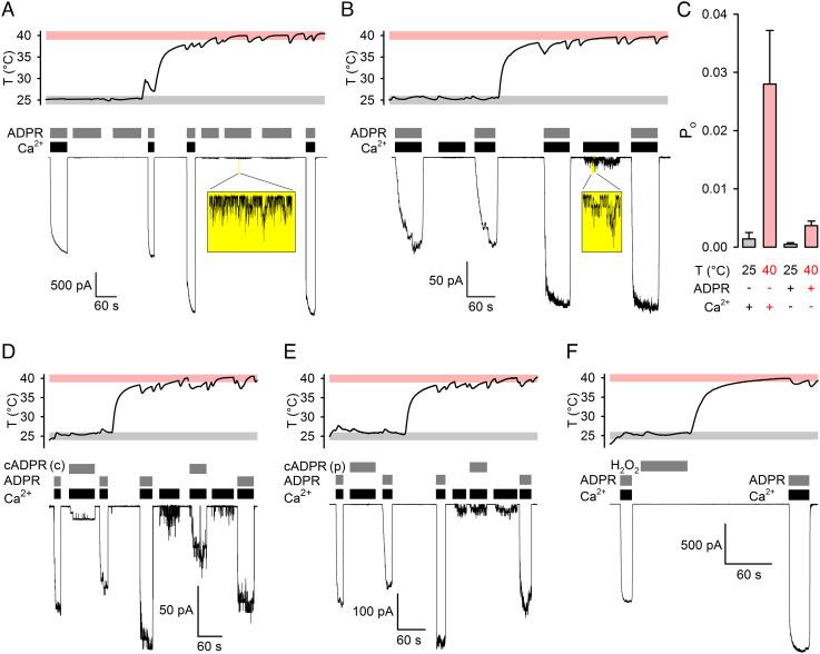 https://cdn.ncbi.nlm.nih.gov/pmc/blobs/04dd/9881722/809763d921c8/pnas.2212378119fig01.jpg