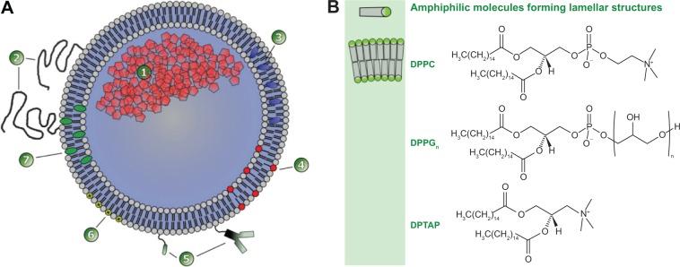 https://cdn.ncbi.nlm.nih.gov/pmc/blobs/04de/4172103/001c07032354/ijn-9-4387Fig1.jpg