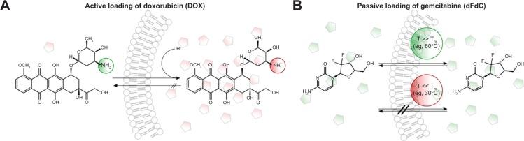 https://cdn.ncbi.nlm.nih.gov/pmc/blobs/04de/4172103/3775428d4a5b/ijn-9-4387Fig2.jpg