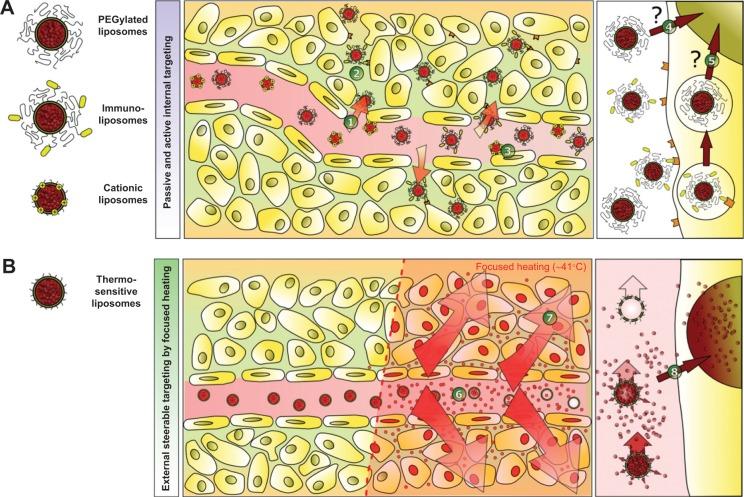 https://cdn.ncbi.nlm.nih.gov/pmc/blobs/04de/4172103/6889bb430bb7/ijn-9-4387Fig3.jpg