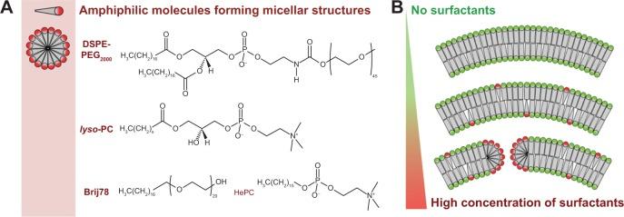 https://cdn.ncbi.nlm.nih.gov/pmc/blobs/04de/4172103/87c57871db7d/ijn-9-4387Fig5.jpg