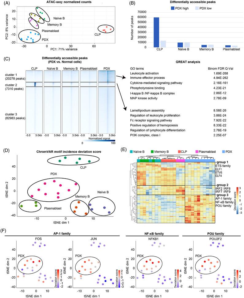 https://cdn.ncbi.nlm.nih.gov/pmc/blobs/04e0/9299574/a6f3768b0fef/CTM2-12-e975-g001.jpg