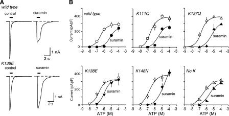 https://cdn.ncbi.nlm.nih.gov/pmc/blobs/04e2/2573084/9d23c5c07fcd/zbc0470855140004.jpg
