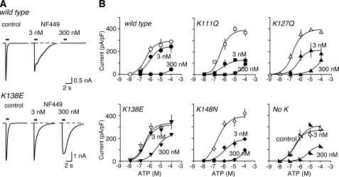 https://cdn.ncbi.nlm.nih.gov/pmc/blobs/04e2/2573084/c5de1c962fce/zbc0470855140005.jpg