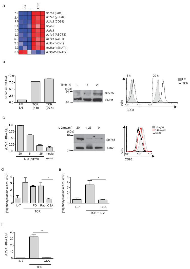 https://cdn.ncbi.nlm.nih.gov/pmc/blobs/04e2/3672957/13763aa0be66/emss-51595-f0003.jpg