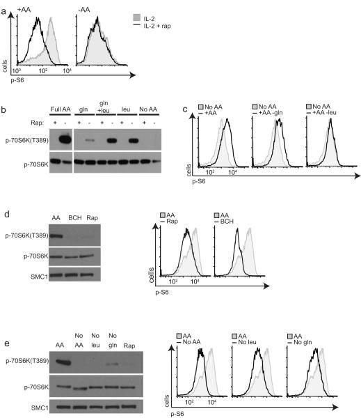 https://cdn.ncbi.nlm.nih.gov/pmc/blobs/04e2/3672957/1536e3c262d6/emss-51595-f0002.jpg