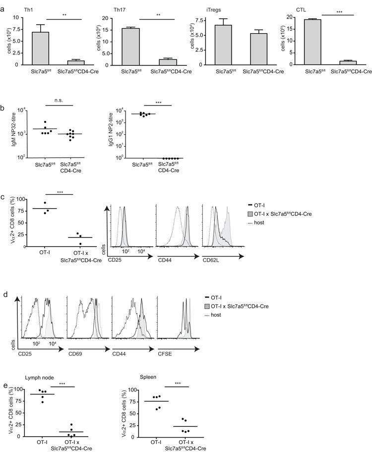 https://cdn.ncbi.nlm.nih.gov/pmc/blobs/04e2/3672957/6e7e080287bb/emss-51595-f0005.jpg