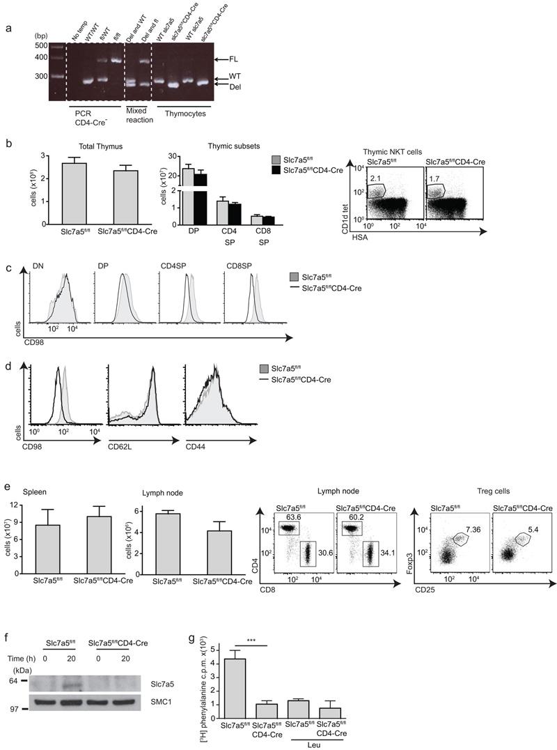 https://cdn.ncbi.nlm.nih.gov/pmc/blobs/04e2/3672957/a23f197422c5/emss-51595-f0004.jpg