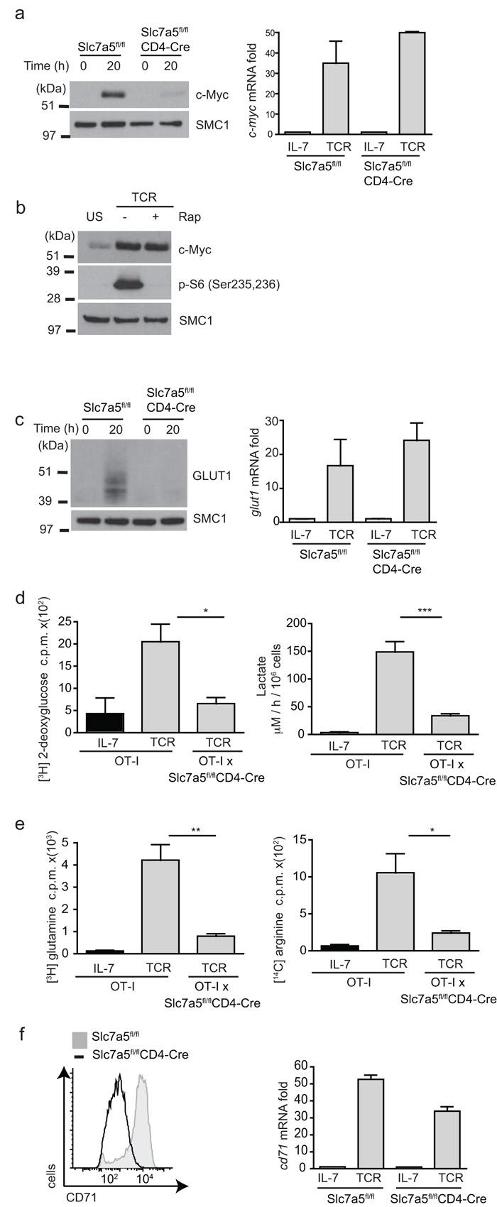 https://cdn.ncbi.nlm.nih.gov/pmc/blobs/04e2/3672957/ebc78f036242/emss-51595-f0007.jpg