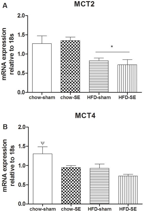 https://cdn.ncbi.nlm.nih.gov/pmc/blobs/04e5/3208635/86ae03666e5e/pone.0027260.g005.jpg