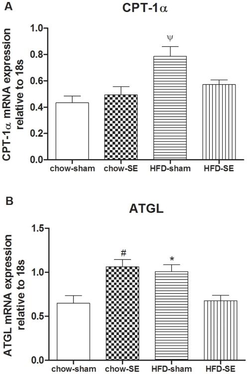 https://cdn.ncbi.nlm.nih.gov/pmc/blobs/04e5/3208635/a6dff2181e57/pone.0027260.g006.jpg
