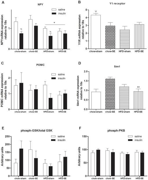 https://cdn.ncbi.nlm.nih.gov/pmc/blobs/04e5/3208635/c1953c122c85/pone.0027260.g004.jpg