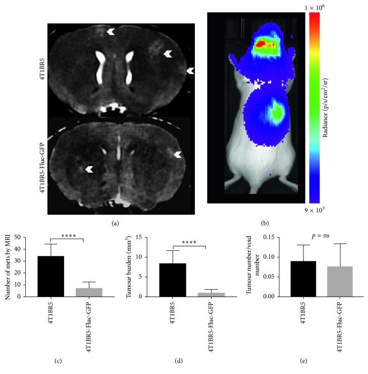 https://cdn.ncbi.nlm.nih.gov/pmc/blobs/04e5/6348811/6c93db073086/CMMI2019-6501231.003.jpg