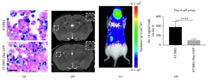 https://cdn.ncbi.nlm.nih.gov/pmc/blobs/04e5/6348811/8310ea902503/CMMI2019-6501231.002.jpg