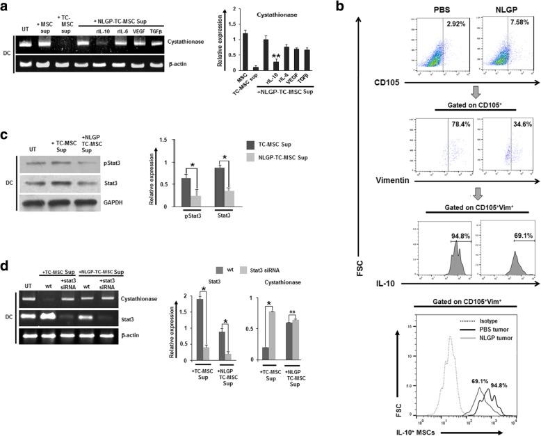 https://cdn.ncbi.nlm.nih.gov/pmc/blobs/04e5/6757425/24b9b6949de1/13287_2019_1349_Fig5_HTML.jpg