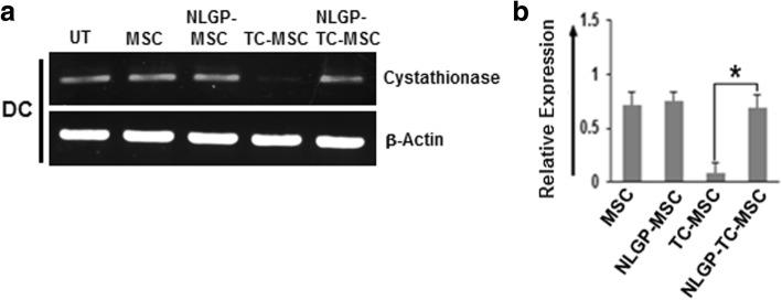https://cdn.ncbi.nlm.nih.gov/pmc/blobs/04e5/6757425/3333bbf6a0fd/13287_2019_1349_Fig4_HTML.jpg