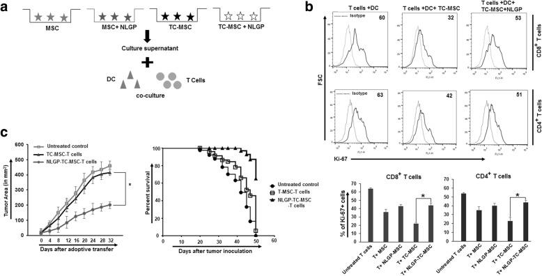 https://cdn.ncbi.nlm.nih.gov/pmc/blobs/04e5/6757425/c106d395b0eb/13287_2019_1349_Fig2_HTML.jpg