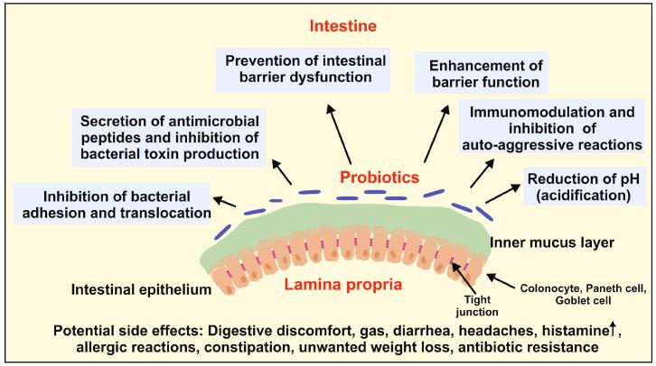 https://cdn.ncbi.nlm.nih.gov/pmc/blobs/04e6/11172883/321b92274098/ijms-25-06022-g003.jpg