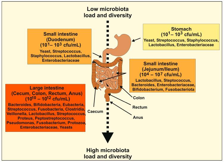 https://cdn.ncbi.nlm.nih.gov/pmc/blobs/04e6/11172883/96c4cae6120f/ijms-25-06022-g001.jpg