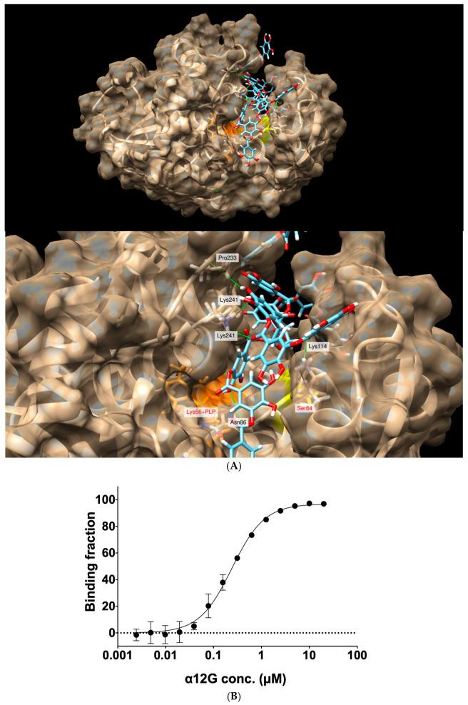 https://cdn.ncbi.nlm.nih.gov/pmc/blobs/04e7/11048566/5777692501b4/biomedicines-12-00853-g004.jpg